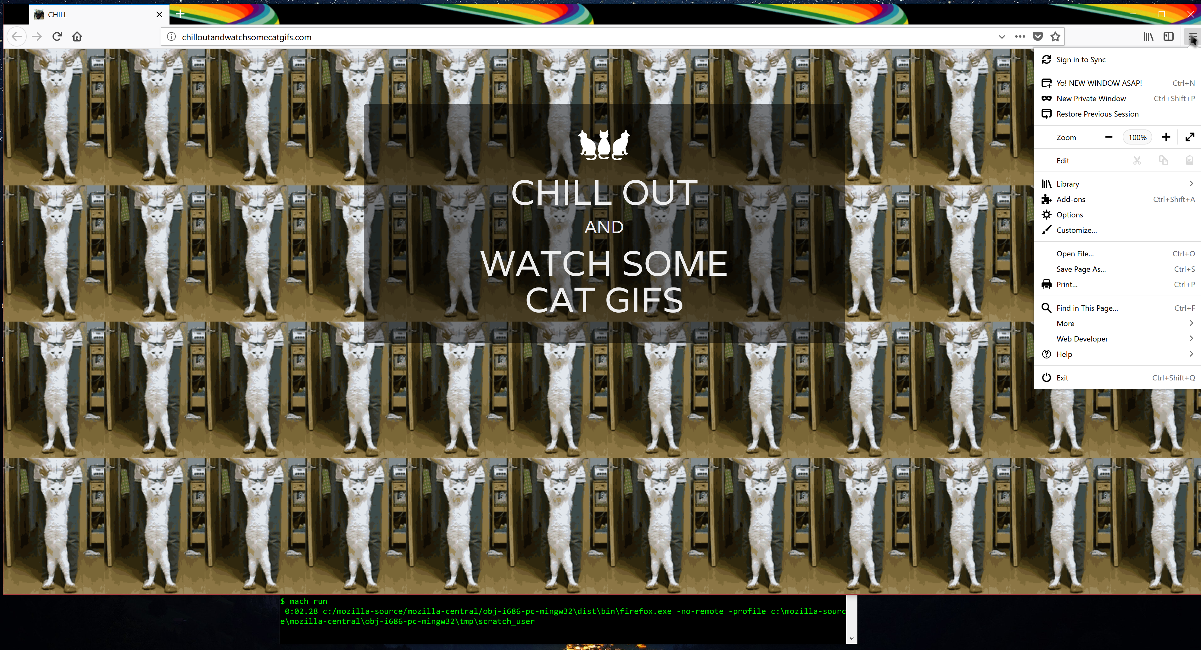 Example of what students did